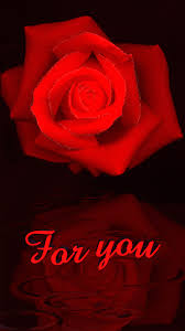 Gif love rose beautiful flowers. Maxy Teran Renata79r Beautiful Flowers Images Beautiful Red Roses Rose Gif