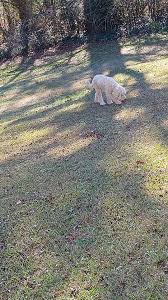 Happy 4th of July, everyone! Today, we celebrate the spirit of freedom,  unity, and the courage of those who fought for our independence. Enjoy the  fireworks, BBQs, and time with loved ones.