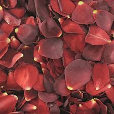 Red Cocoa Rose Petals Freeze Dried Rose Petals Dried Rose Petals Wedding Petals