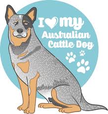 Black Australian Cattle Dog Blue Heeler Australian Cattle Dog Blue Heeler By Valexn Cattle Dog Australian Cattle Dog Blue Heeler Blue Heeler Dogs