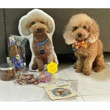 Now you can have a digital gift card sent directly to your email so that they can order their own custom pet pillow this christmas. Customise Your Pet Pillow Plushie Shopee Singapore