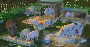 And you're not opposed to modding, you can download the sims 4 farm life mod. Pig Farm Sims 4 The Set Includes 9 Decorative And Functional Objects 2 Kinds Of Pigs 2 Kind Of Piglets Feeder Water Bo Sims 4 Pets Sims Pets Pig Farming