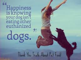 Check spelling or type a new query. The Truth About Pet Food Research Pawcurious With Veterinarian And Author Dr V