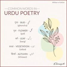 20 Media Tweets By Aamozish Aamozish Twitter In 2020 Urdu Words With Meaning Urdu Words Urdu Love Words