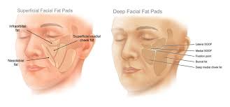 Técnica de los 4 puntos, el concepto de coste-efectividad en Medicina  Estética