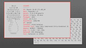 Open Source Font Software. An Interview with Open Source Advocate…