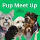 Pup Meet Up  — Granite Coast Brewing event image