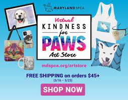Maybe you would like to learn more about one of these? Maryland Spca Helping Animals In Baltimore