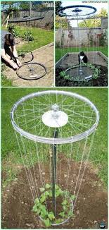 Recycled Bike Rim Trellis Recycled Garden Diy Garden Projects Diy Trellis