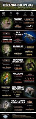Save The Endangered Animals If Not Now Then When If Not Us Then Who Infographics Weekly Endangered Species Endangered Animals Animal Conservation