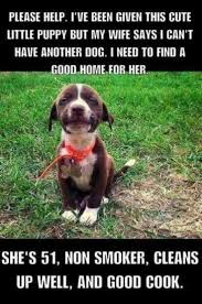 Free To A Good Home Dog Jokes Funny Dog Memes Funny Dog Pictures