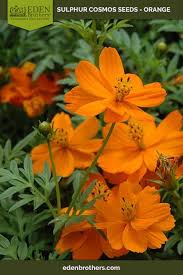 Pin On Garden Ideas 2019