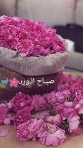عبارات جميلة عن الورد تويتر aiqtabas blog