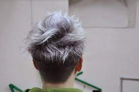 Pompadour hairstyles in different style and length are the most preferred haircuts for men of all ages, they are suitable for almost any occasions and it goes great with 2. Log In Staging Apriori Internal Jira Staging Grey Hair Men Ash Grey Hair Men Hair Color