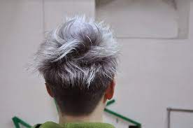 Hairstyles for men with long hair like this are ideal for anyone who has curly textured hair that wants to grow it out while still having a fun and current look. Log In Staging Apriori Internal Jira Staging Ash Grey Hair Men Hair Color Grey Hair Men