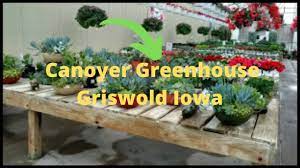 Canoyer Country Greenhouse Photos Griswold Iowa Greenhouse Plants Griswold