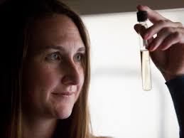 WSU professor has some timely food safety suggestions