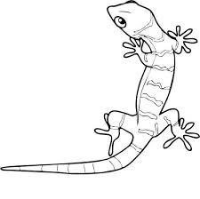 Gecko Lizard Coloring Pages New Coloring Pages