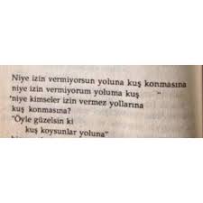 Oyle Guzelsin Ki Kus Koysunlar Yoluna Edebiyat Edebiyatnotlari Edebisozler Siirsokakta Siir Siirler Sozler Nilgunmarmara Edebiyat Alinti Sozler Siir