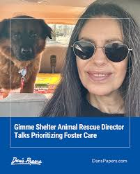 Dan's Papers (@danspapers) · Instagram 照片和视频