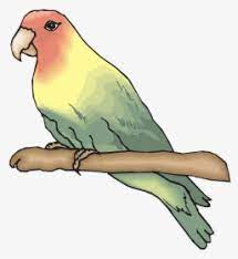Contoh sketsa gambar burung garuda. Lovebird Png Images Transparent Lovebird Image Download Pngitem
