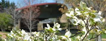 It is recognized as one of the country's micropolitan areas, smaller cities which nevertheless function as significant economic hubs. Cookeville Tn Official Website