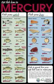 Useful Reference Chart In Regard To Fish And Their Mercury