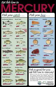 useful reference chart in regard to fish and their mercury