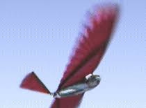 Proposed control for wing movement type flat plate for ornithopter autonomous robot springerlink : Ornithopter Wikipedia