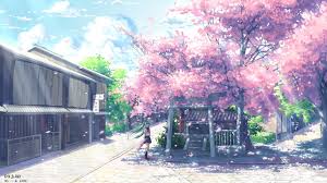 Animated gif shared by carol owens. Cherry Blossoms Anime Scenery Wallpapers Top Free Cherry Blossoms Anime Scenery Backgrounds Wallpaperaccess