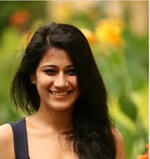 Linguistic Diaries: Pallavi Singh