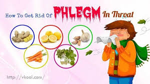 22 Tips On How To Get Rid Of Phlegm In Throat Fast And Naturally Phlegm In Throat Getting Rid Of Phlegm Itchy Throat Remedy