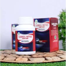 We did not find results for: Jual Oabt Sakit Tulang Pinggul Herbal Samulinpro Sehat Sendi Original Terbaru Juli 2021 Blibli