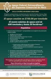 📢Atención 👩‍🌾👨‍🌾Productoras y productores de maíz: Te compartimos los  requisitos para acceder al Apoyo Federal Extraordinario del Ciclo  Otoño-Invierno 2023-2024. ➡️ Consúltalo, aquí: https://goo.su/IziRfb