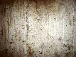 When it's done, you'll have new, dry walls, and any residual water that seeps through the old basement walls will be directed to the drain channel and pumped away. Download Texture Old Concrete Texture Concrete Download Photo Beton Texture Background Download Textured Walls Concrete Basement Walls Texture Photography