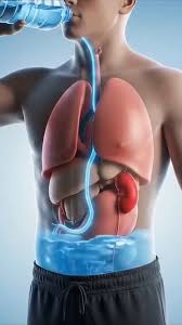 Are You Drinking Water Immediately After Meals? , • Avoid drinking too much  water right after eating, • It may slow down digestion, • Can cause  bloating and indigestion problems, • Drinking water ...