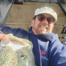 British Seagull Buy and Sell and Seagull Chat