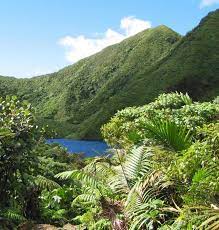 Encuentra fotos de stock perfectas e imágenes editoriales de noticias sobre insel dominica en explora 43 fotografías e imágenes de stock sobre insel dominica o realiza una nueva búsqueda para. Dominica Die Insel Der Piraten Reiseinformation Dominica