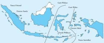 Gambar flora dan fauna di daerah oriental. Persebaran Fauna Indonesia Barat Peralihan Timur Asiatis