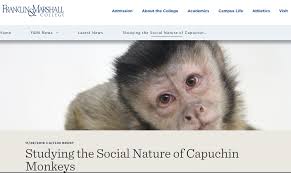 Animal group calls for investigation of monkey death at Franklin & Marshall  lab