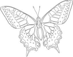 Pin Van Erica Nicole Op Coloring Pages Vlinder Kunst Kleurboek Kleurplaten