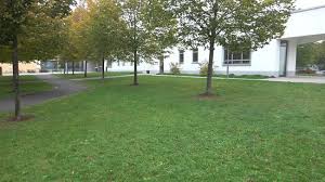 Koreanischer garten (seouler garten) in den gärten der welt, 한국어 가든 (서울 가든). Garten Der Sinne Picture Of Garten Der Sinne Schramberg Tripadvisor