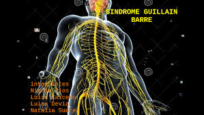 While gbs comes on rapidly over days to weeks, and the person usually recovers, other disorders develop slowly and can linger or recur. Sindrome Guillain Barre By Nicole Rios Cajiao On Prezi Next