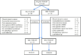 Flow Chart And Criteria For Selection Tur Bt Transurethral