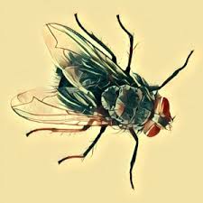 Allgemeine traumdeutung des traumsymbols geister ganz tief im inneren haben alle menschen angst vor dem tod. Wasser Traumsymbol Mit Video Traum Deutung