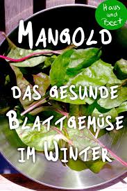 mangold das gesunde blattgemuse im winter haus und beet mangold vegetarisch zubereitung