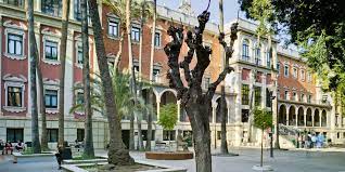 Check spelling or type a new query. Universidad De Murcia Sedes Universitarias Miuni