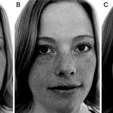 PDF) Dress for Success: Human Facial Expressions are Important Signals of  Emotions