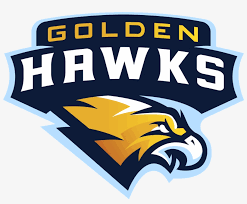 Şimdi bu şeffaf png görüntüsünü ücretsiz indirebilirsiniz. Golden Hawks Png Free Transparent Png Download Pngkey