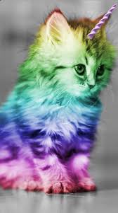 Pin By Illya Krasinsky On Guiland23 Hotmail Com Cat Wallpaper Cute Little Animals Cute Baby Animals